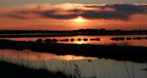 Salina di Cervia al tramonto