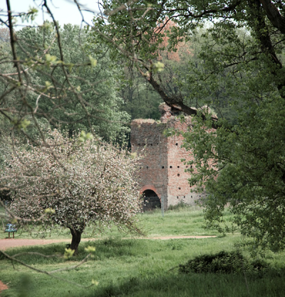 Parco dell'Appia Antica Torre medievale all'interno del parco della Caffarella