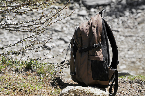 Zaino appoggiato a terra, su un sasso vicino a erba e piante