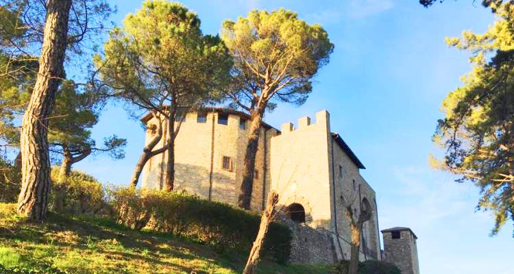 Castello di Montegiove visto dal basso, in mezzo ai pini