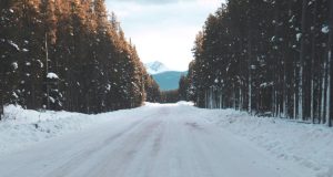 Strada innevata in un bosco