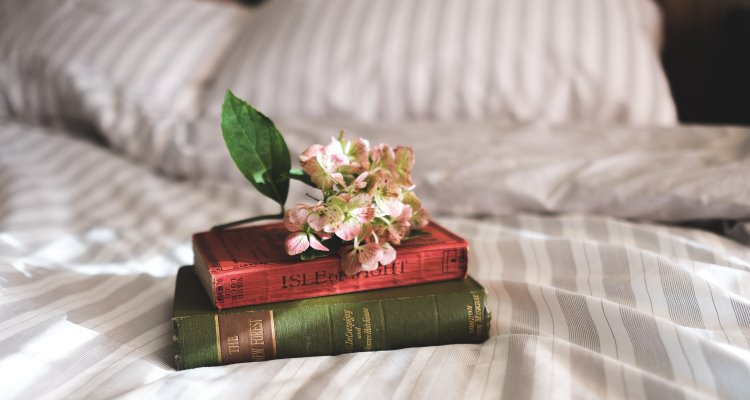 Libri e viaggi: cinque volumi e un fiore appoggiati su un letto