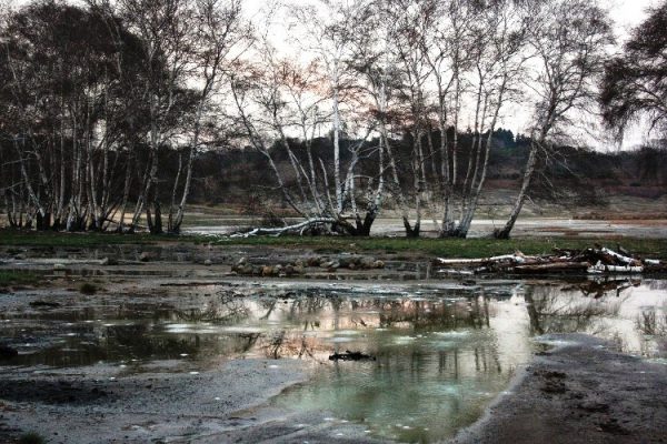 Fotografia di viaggio: pozzanghera nella caldara di Manziana al crepuscolo