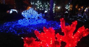 Luci d'artista a Salerno