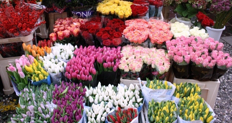 Fiori esposti da un fioraio