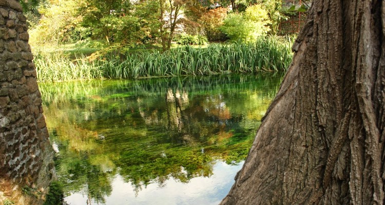 Sermoneta: alberi che si specchiano in un lago del Giardino di Ninfa