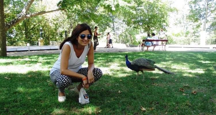 Un giorno a Porto: ragazza accovacciata accanto a un pavone al Jardim do Palacio de Cristal