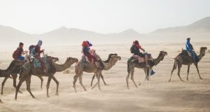 Viaggi da fare almeno una volta nella vita: cammelli nel deserto