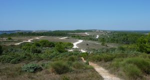 Premantura: sentiero verso il mare
