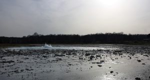 Geyser alla Caldara di Manziana