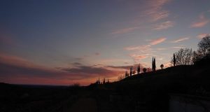Vigneto sloveno al tramonto