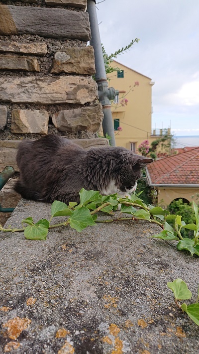 Fatto appoggiato su un muretto