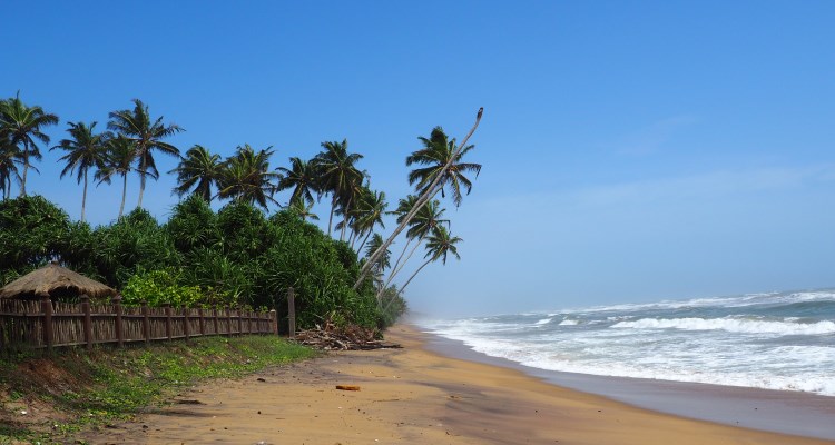 Spiaggia tropicale in Sri Lanka Viaggio a sud ovest dello Sri Lanka: spiaggia di Wadduwa