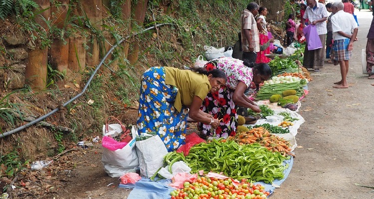 10 cose da vedere in Sri Lanka: venditrici a Ella