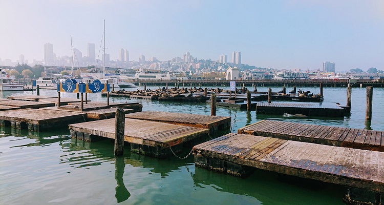 Zattere in legno sull'acqua con panorama su San Francisco