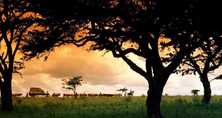Viaggiare stando a casa: scena dal film "La mia Africa"