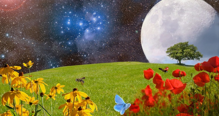 Effetto farfalla: illustrazione con farfalla appoggiata su un fiore di fronte a un pianeta