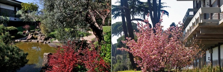 Giro del mondo a Roma: giardino dell'Istituto Giapponese di Cultura