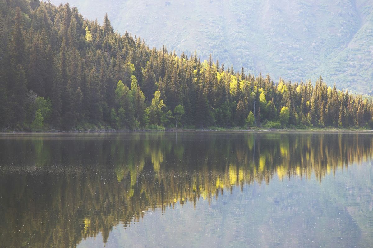 lago di montagna immerso nel silenzio